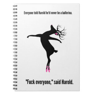 Cuaderno Sea siempre un Harold