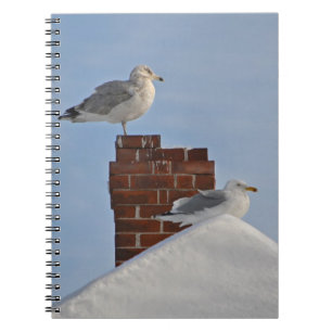 Cuaderno SEAGULLS en el ordenador portátil de techo