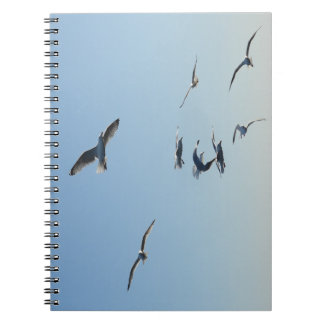 Cuaderno Seagulls in Flight Coastal Bird | Seaside