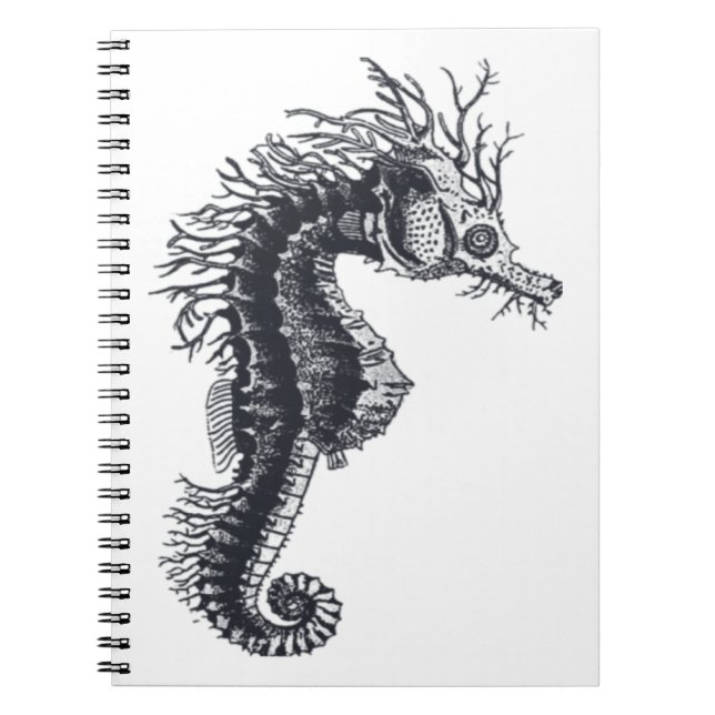 CUADERNO SEAHORSE (Frente)