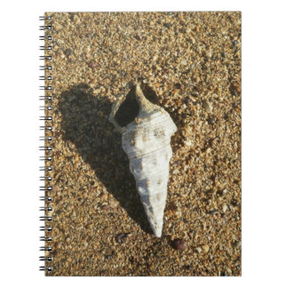 Cuaderno Seashell en la playa