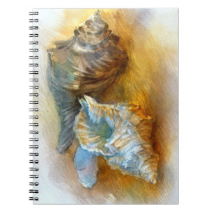 Cuaderno Seashells en la playa