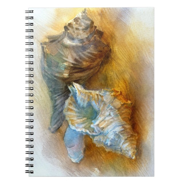 Cuaderno Seashells en la playa (Frente)