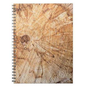 Cuaderno Sección transversal del abanico de manzanas (Malus