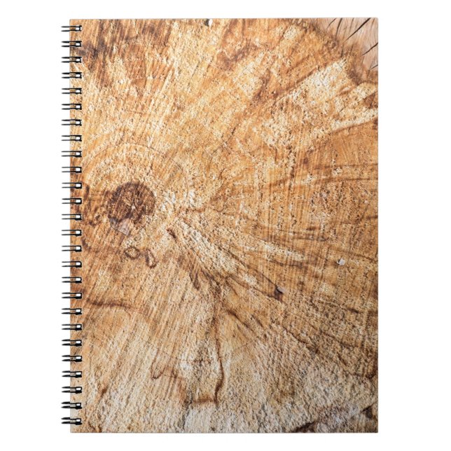 Cuaderno Sección transversal del abanico de manzanas (Malus (Frente)