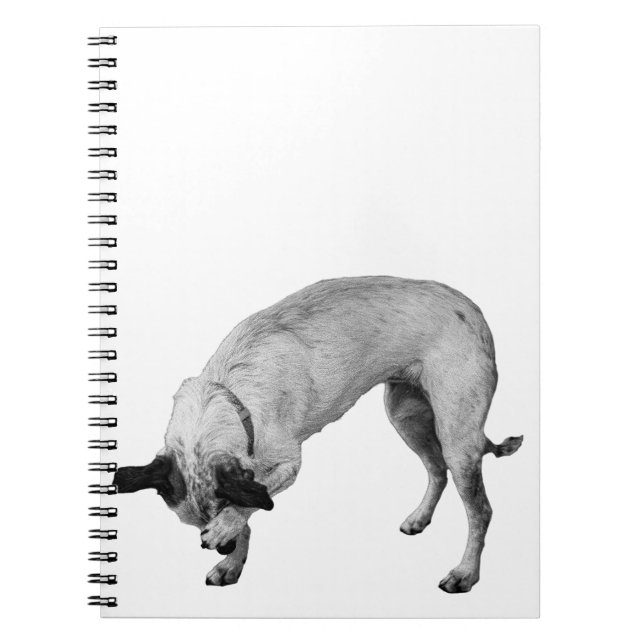Cuaderno Secret Lists Terrier (Frente)