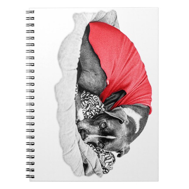 Cuaderno Secretos de otoño en Scarlet (Frente)