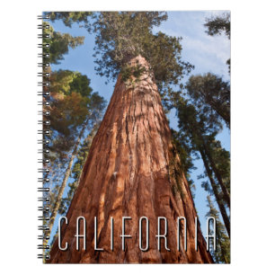 Cuaderno Secuoya Gigante Asciende