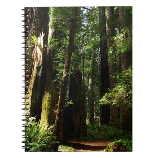 Cuaderno Secuoyas y ferris en el Parque Nacional Redwood (Frente)
