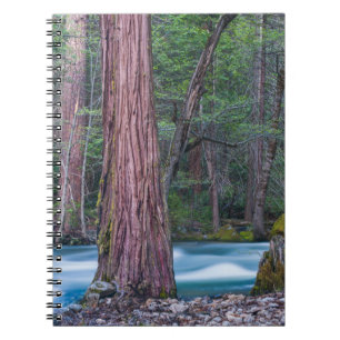 Cuaderno Secuoyas y río Merced parque nacional de Yosemite,