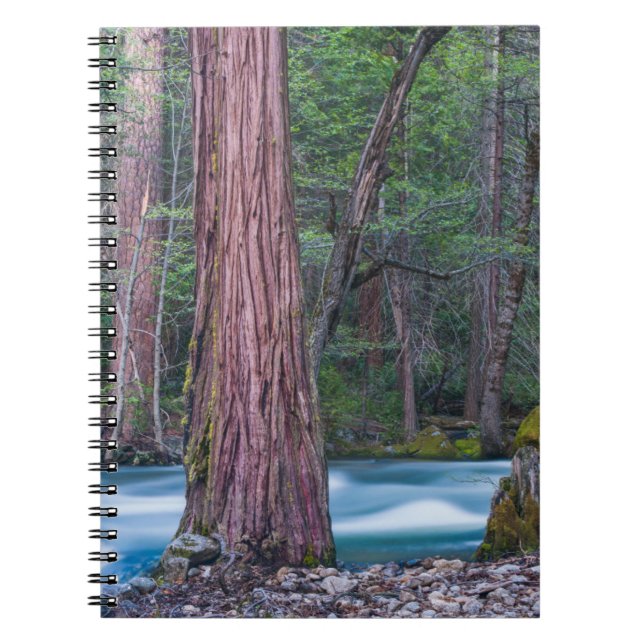 Cuaderno Secuoyas y río Merced parque nacional de Yosemite, (Frente)