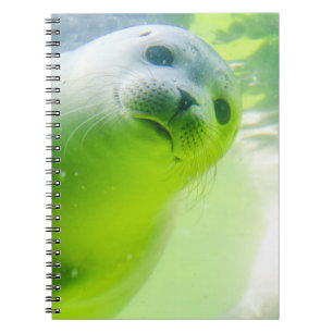 Cuaderno Seda subacuática amigable
