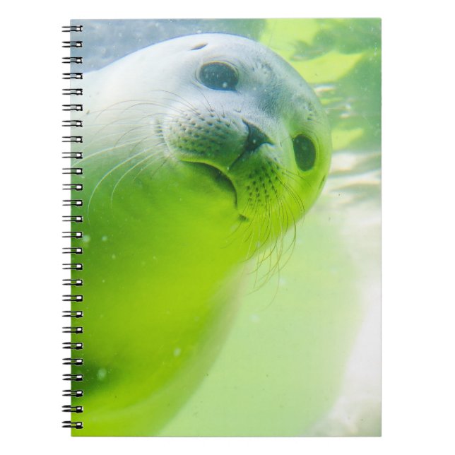 Cuaderno Seda subacuática amigable (Frente)