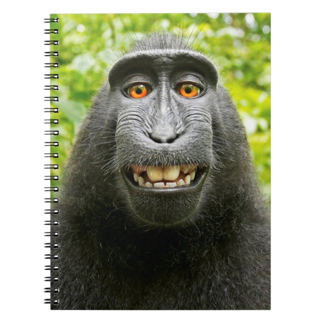 Cuaderno Selfie de mono (Frente)