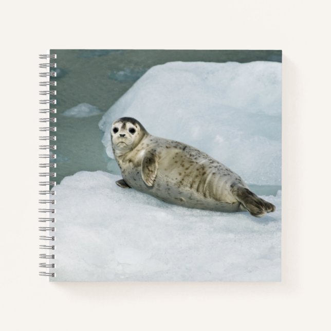 Cuaderno Sello de puerto limpio para la nieve (Anverso)
