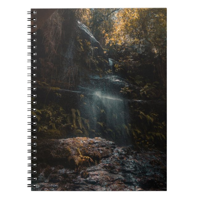 Cuaderno Selva (Frente)