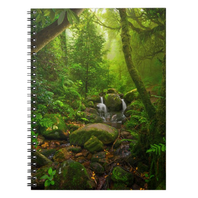 Cuaderno Selva tropical asiática, bosque, medio ambiente (Frente)