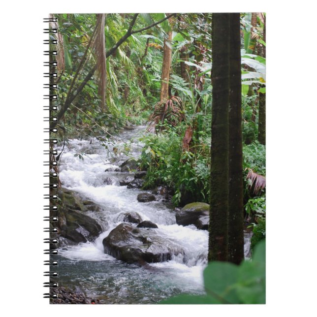 Cuaderno Selva tropical de Hawaii (Frente)