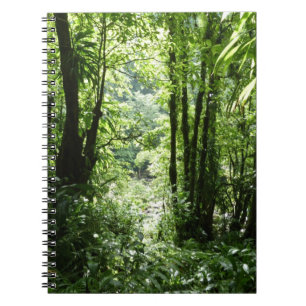 Cuaderno Selva tropical II dominicana de lluvia verde tropi