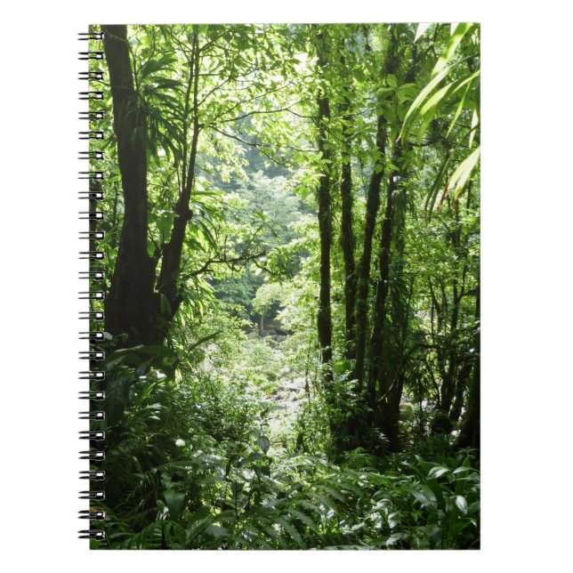 Cuaderno Selva tropical II dominicana de lluvia verde tropi (Frente)