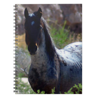 Cuaderno Semental salvaje en Utah