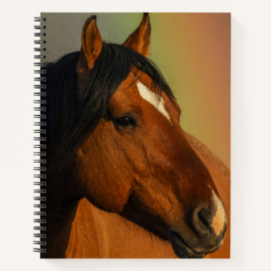 Cuaderno Semental salvaje, luz dorada y arcoíris