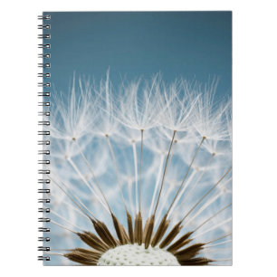 Cuaderno Semillas del diente de león