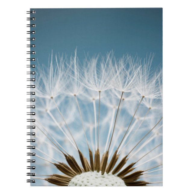 Cuaderno Semillas del diente de león (Frente)
