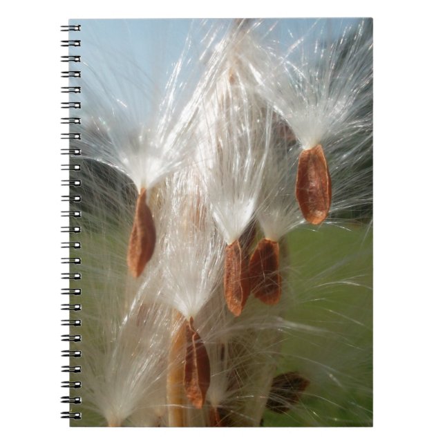 Cuaderno Semillas flotantes: Resumen de Milkweed (Frente)