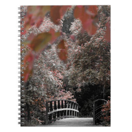 Cuaderno Sendero de Trail de Puente en la Fotografía de la