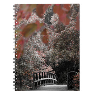 Cuaderno Sendero de Trail de Puente en la Fotografía de la