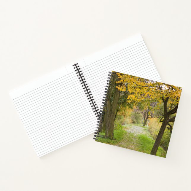 Cuaderno Sendero en otoño (Interior)