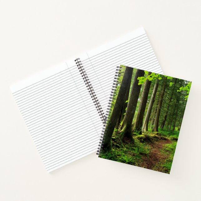 Cuaderno Sendero escénico del bosque verde (Interior)