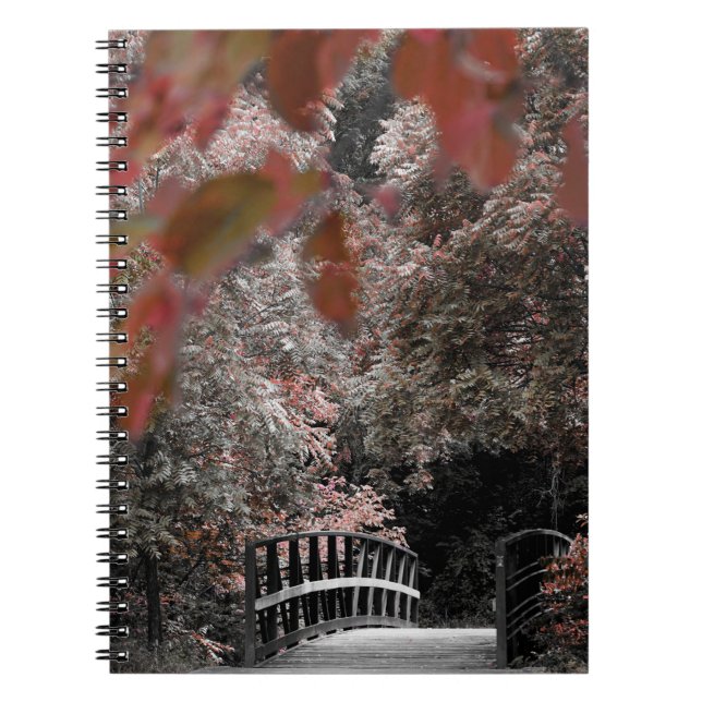 Cuaderno Sendero puente en fotografía de la naturaleza (Frente)