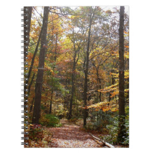 Cuaderno Sendero Sunlit Fall en el Parque Estatal Laurel Hi