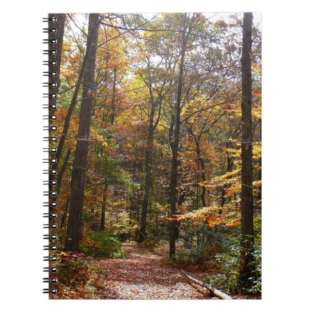 Cuaderno Sendero Sunlit Fall en el Parque Estatal Laurel Hi (Frente)