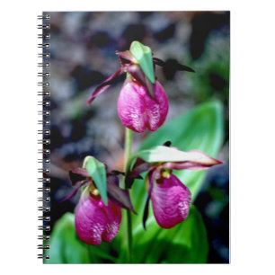 Cuaderno Señora deslizador I, placer verde rosado del