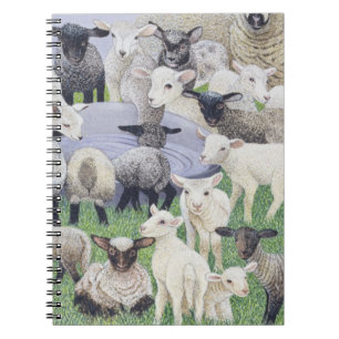 Cuaderno Sensación vergonzoso