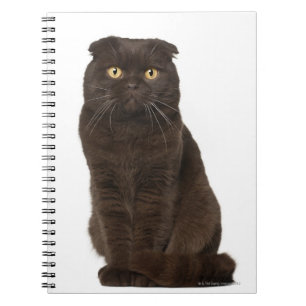 Cuaderno Sentada del doblez del escocés (18 meses)