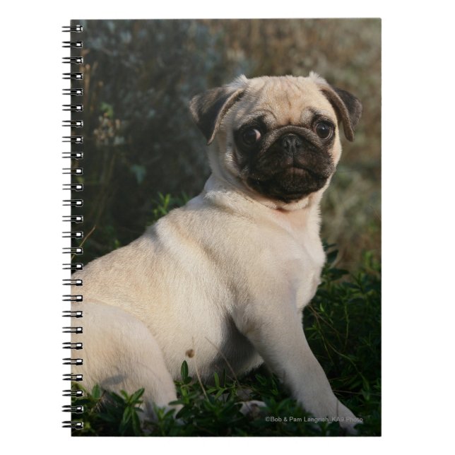 Cuaderno Sentada del perrito del barro amasado del (Frente)