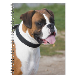 Cuaderno Sentado en Boxer