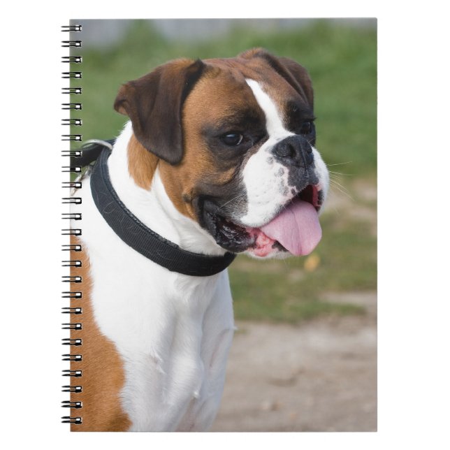 Cuaderno Sentado en Boxer (Frente)