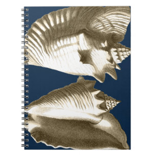 Cuaderno Sepia Conch Seasheles