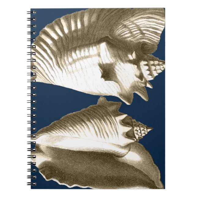 Cuaderno Sepia Conch Seasheles (Frente)