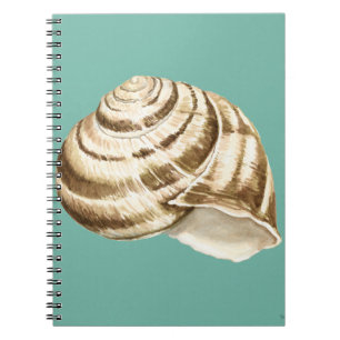 Cuaderno Sepia Strike Shell en Verde azulado