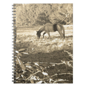 Cuaderno Sepia tono Caballo marrón y cerca