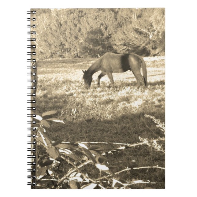 Cuaderno Sepia tono Caballo marrón y cerca (Frente)