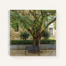 Serie Li Garden: Ecos bajo el Árbol