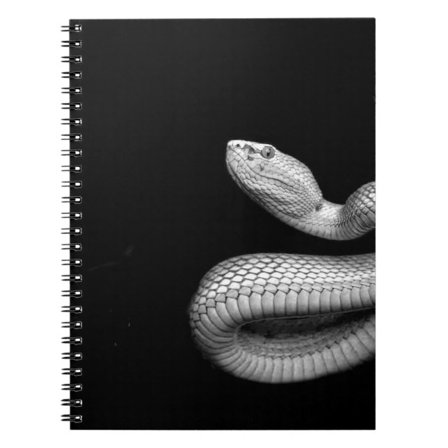 Cuaderno Serpiente (Frente)