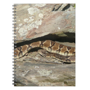 Cuaderno Serpiente de cascabel en el Parque Nacional Shenan